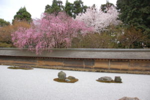 CI Art Affairs Gartenreise Kyoto Frühling